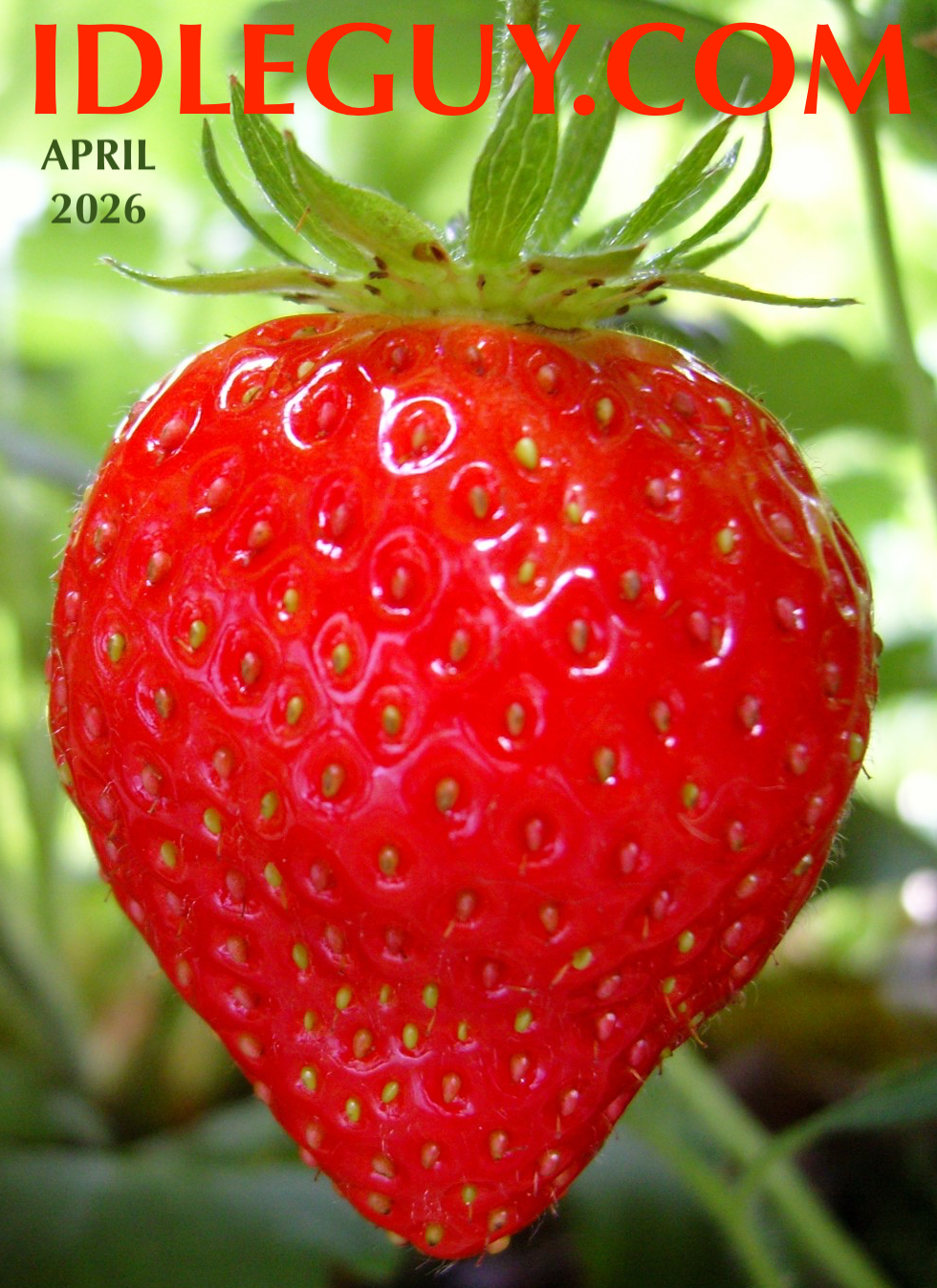 idleguy.com April 2026
