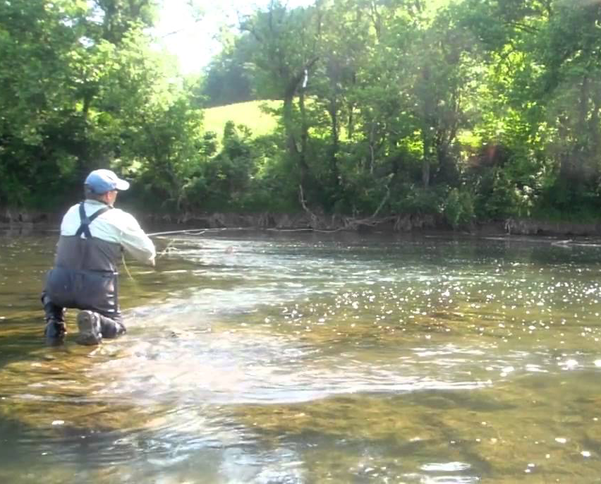 Clinch River tailwater trout fishing
